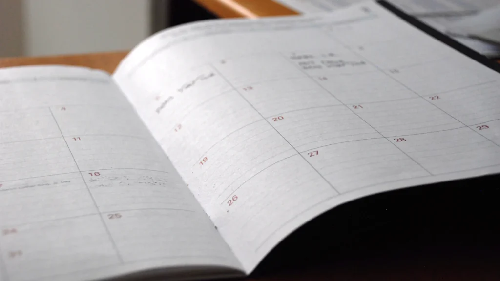 3, 6, 9 or 12 Months? Choosing the Right Research Placement Length