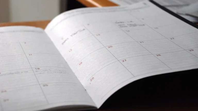 3, 6, 9 or 12 Months? Choosing the Right Research Placement Length
